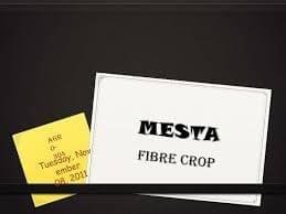 Grading of Mesta fibre found in Maharashtra and Andhra Pradesh