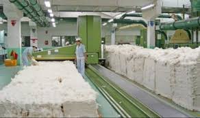 Chinese textile enterprise revives Tajik cotton industry.