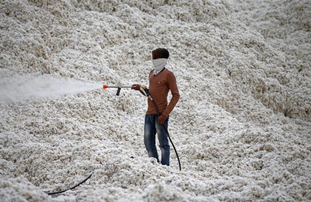 Telangana to map cotton supply chain to stamp out child labour.