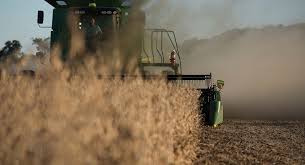 China halts purchases of US agricultural products