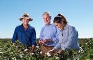 Takeaways from the Australian Cotton Sector