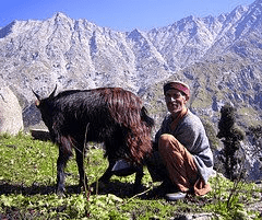 textiles-of-himachal-pradesh