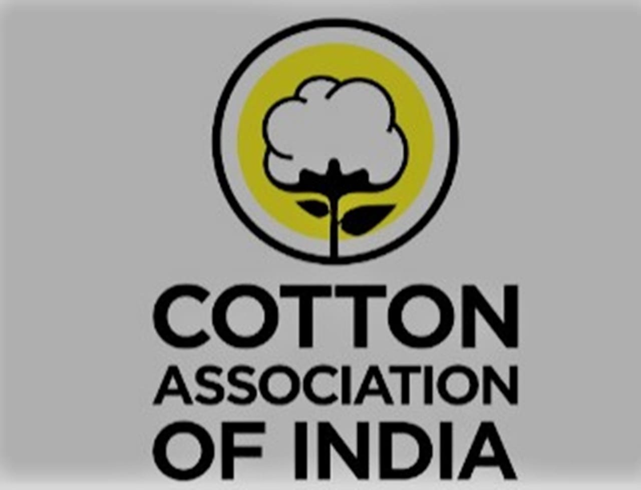 CAI PEGS ITS 2019-20 COTTON CROP ESTIMATE UP TO 354.50 LAKH BALES
