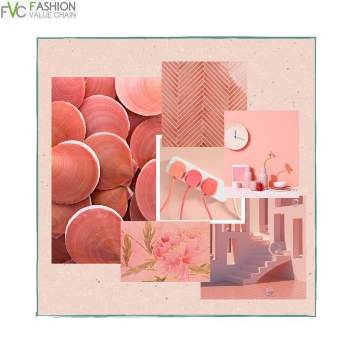 Coral Pink Hue - TEXTILE VALUE CHAIN