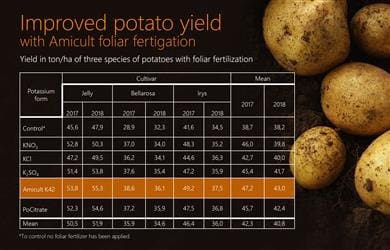 New Perstorp fertilizer solution shown to increase potato yield by up to 22 percent
