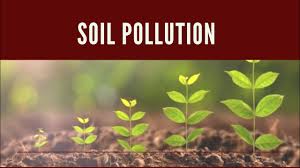 Soil Pollution And Solutions