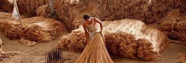 Bi-weekly Lockdown in West Bengal is Likely to Affect Its Jute Industry