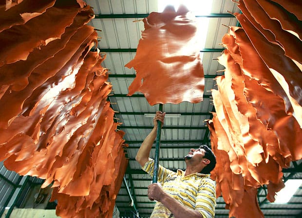 Leather industry players lock horns over export of semi-finished product