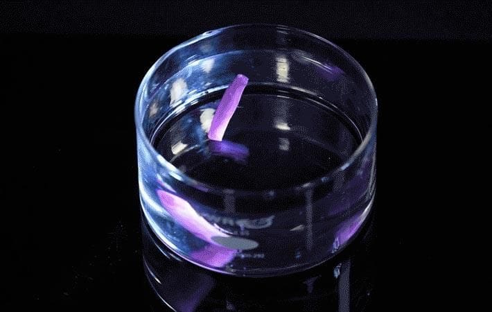 Material made using Shape memory polymer by Harvard Scientists