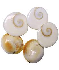 Buy Saptraag 1 Gomti Chakra (21, 2 cm) Online at Low Prices in India -  Amazon.in