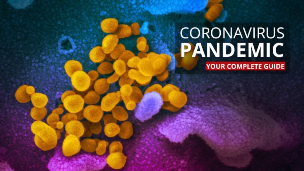 Indian FM Nirmala Sitharaman recently said the governmentby the COVID-19 pandemic