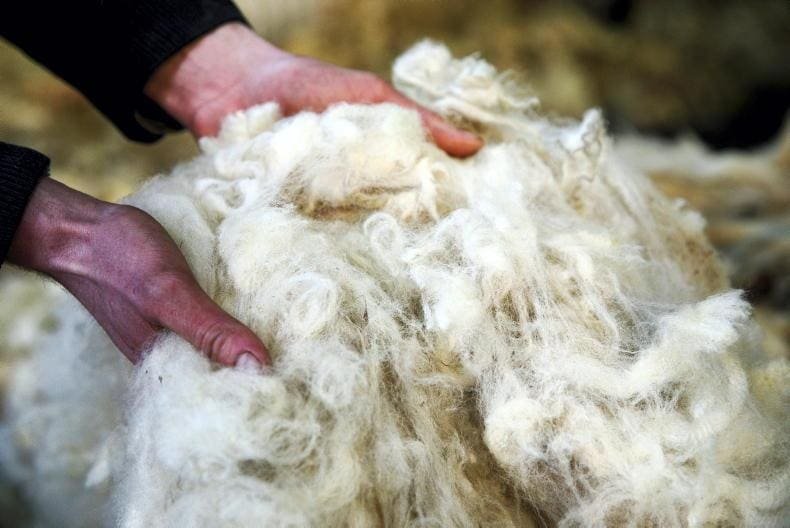 Increased its Import Quota on Australian Wool