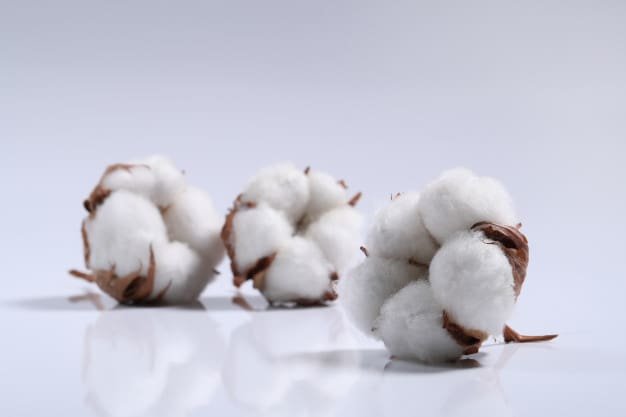 Why cotton prices will keep going up and why cotton yarn prices will keep going up: economics