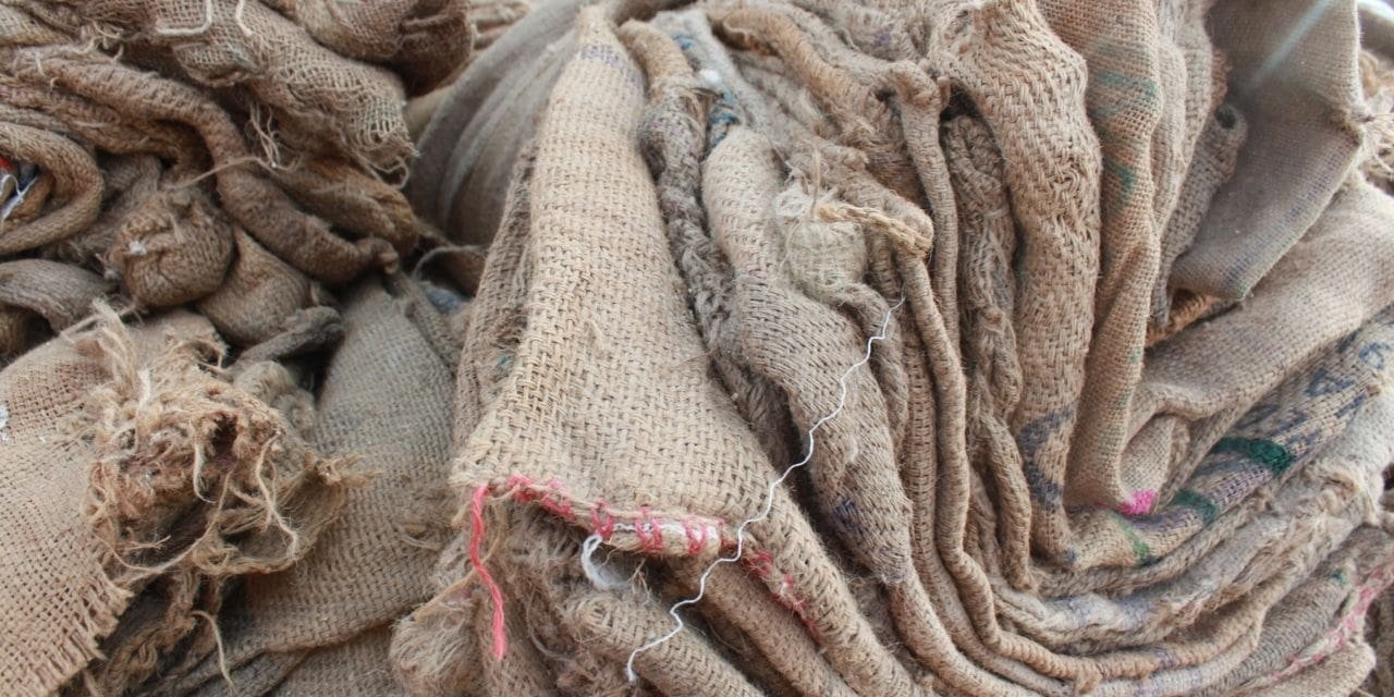 Jute exports are falling owing to excessive freight costs