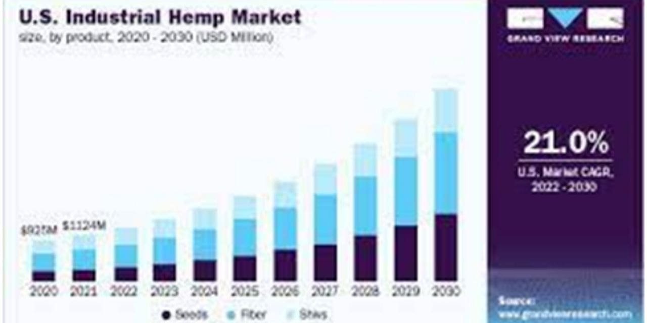 INDUSTRIAL HEMP IN TEXTILE MARKET SIZE SHARE FORECAST 2022-2029