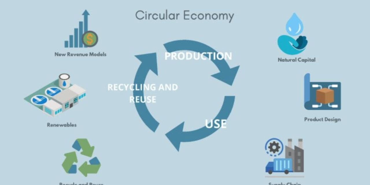 NEW TECHNOLOGY AND CIRCULAR ECONOMY