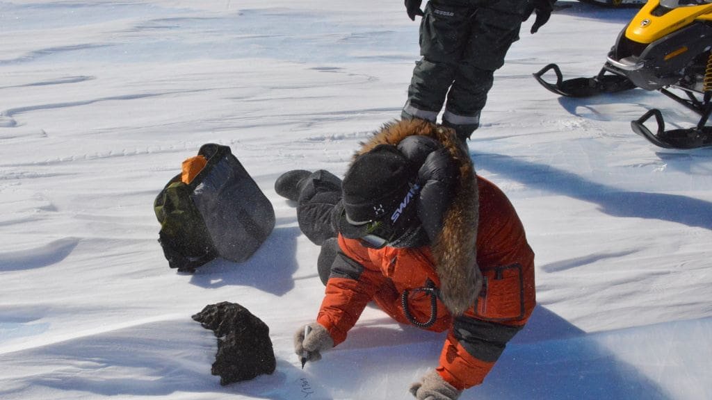 Traces of Synthetic Microfibres found in Antarctica