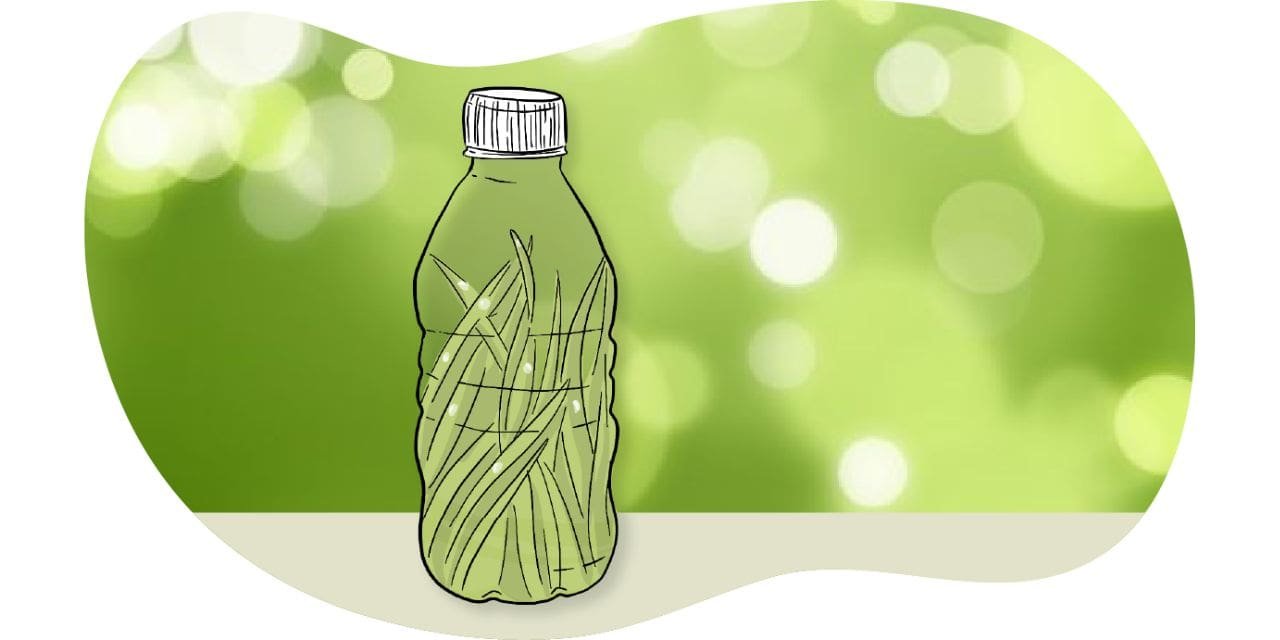 By 2026, the market for biodegradable plastics will be valued $23.3 billion.