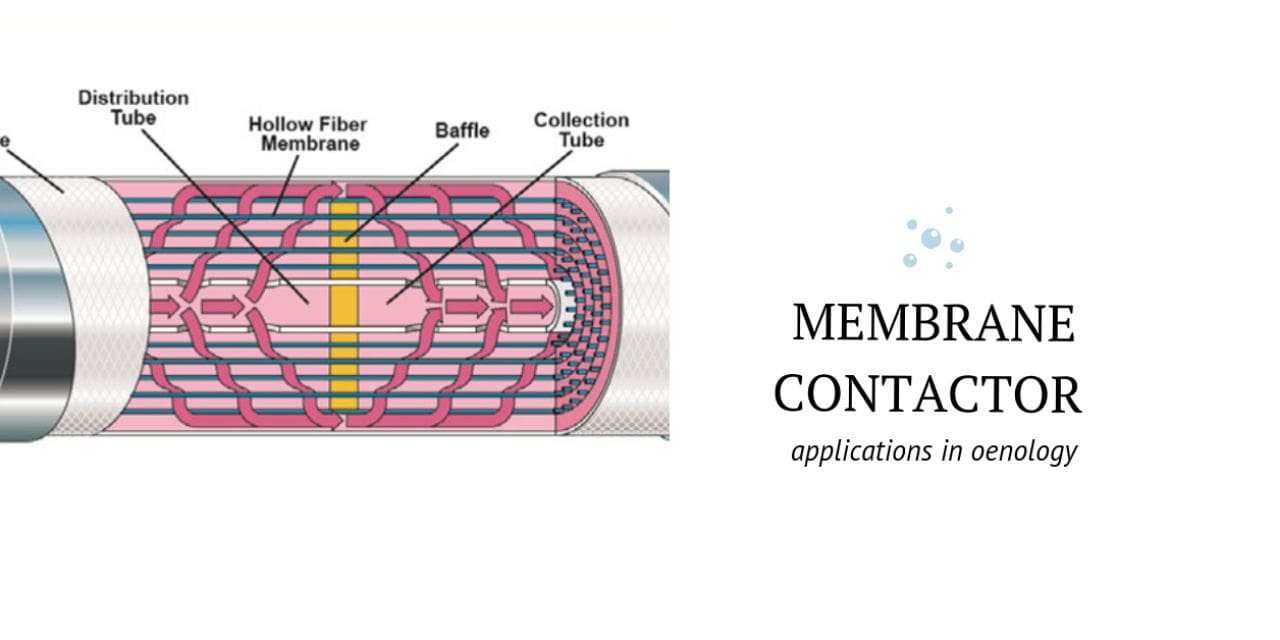 Membrane Contactor Market worth $340 million by 2025 – At a CAGR of 5.8%