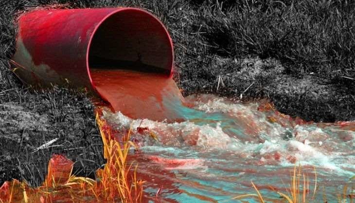 Hazardous Synthetic Colours in Wastewater Endanger Global Food Chains