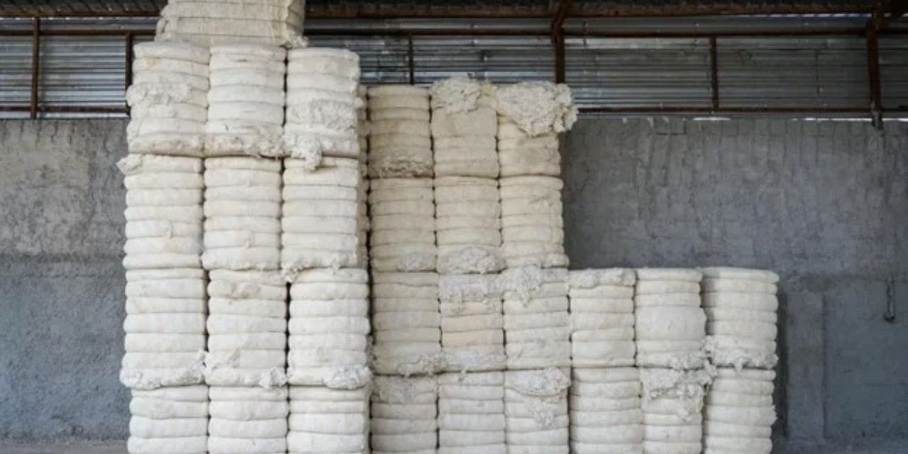 Better Cotton offers brands & merchants a traceable cotton solution ...