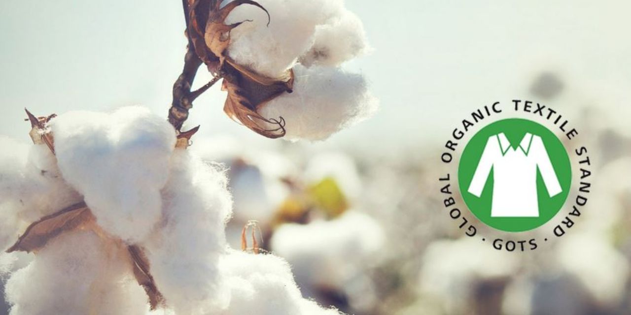 Kleidung und grünes Bio Cotton Global Organic Textile Standard GOTS Label  C&A Stock Photo | Adobe Stock