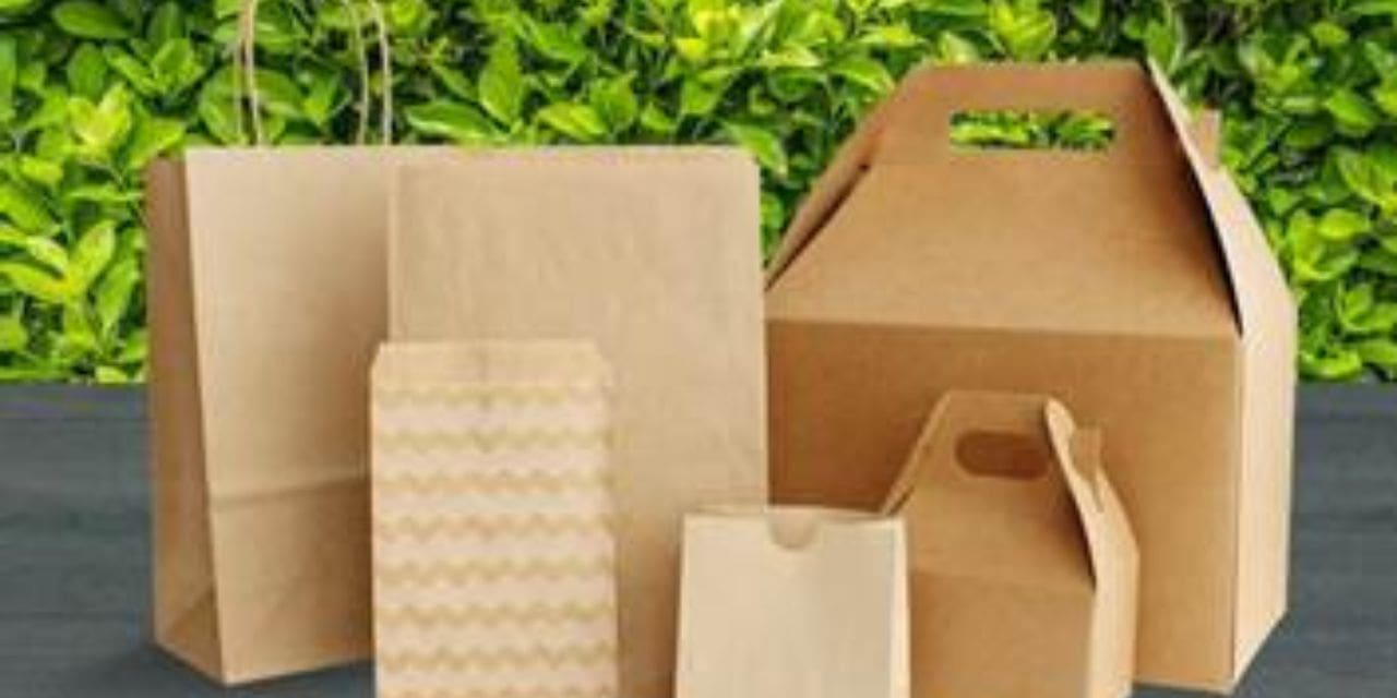 Sustainable and Eco-Friendly Solutions: Driving Growth in the Paper Packaging Market