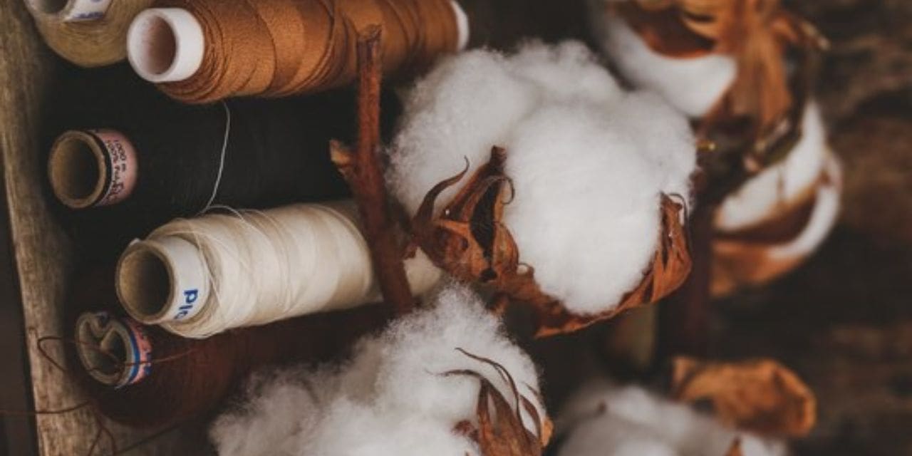 Tamil Nadu's Textile Exports Decline in FY24, Cotton Textiles Shine Bright
