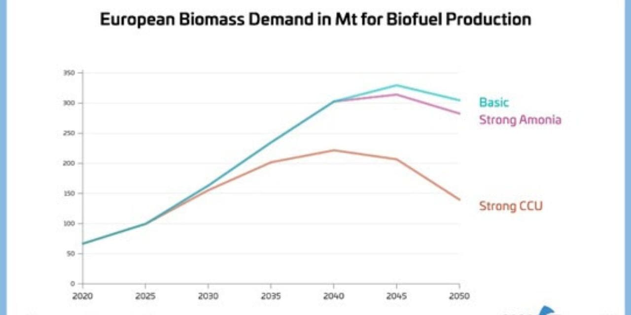 Rising Biomass Demand and Its Impact on the Chemical Sector